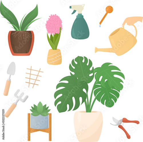 Indoor plants and care tools set of vector elements flowers watering can secateurs rake