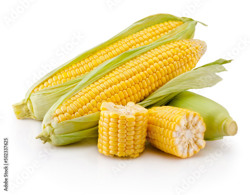 Corn on cobs kernels and broken isolated on white background