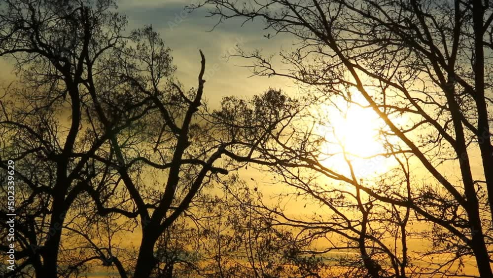 Intensive colors of sunset in nature. Intensive colors of sunset in nature.