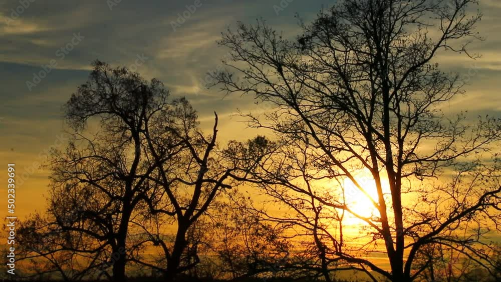 Intensive bold orange and yellow sunset in the forest. Intensive bold orange and yellow sunset in the forest.