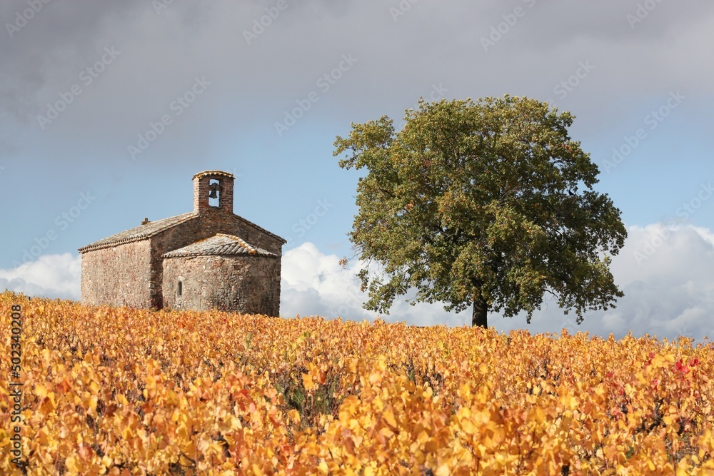 Autumnal landscape with the chapel Saint-Pierre in Beaujolais, France - obrazy, fototapety, plakaty 
