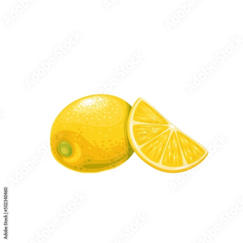 Whole yellow lemon with lemon fruit slice. Citrus fruit vector illustration.