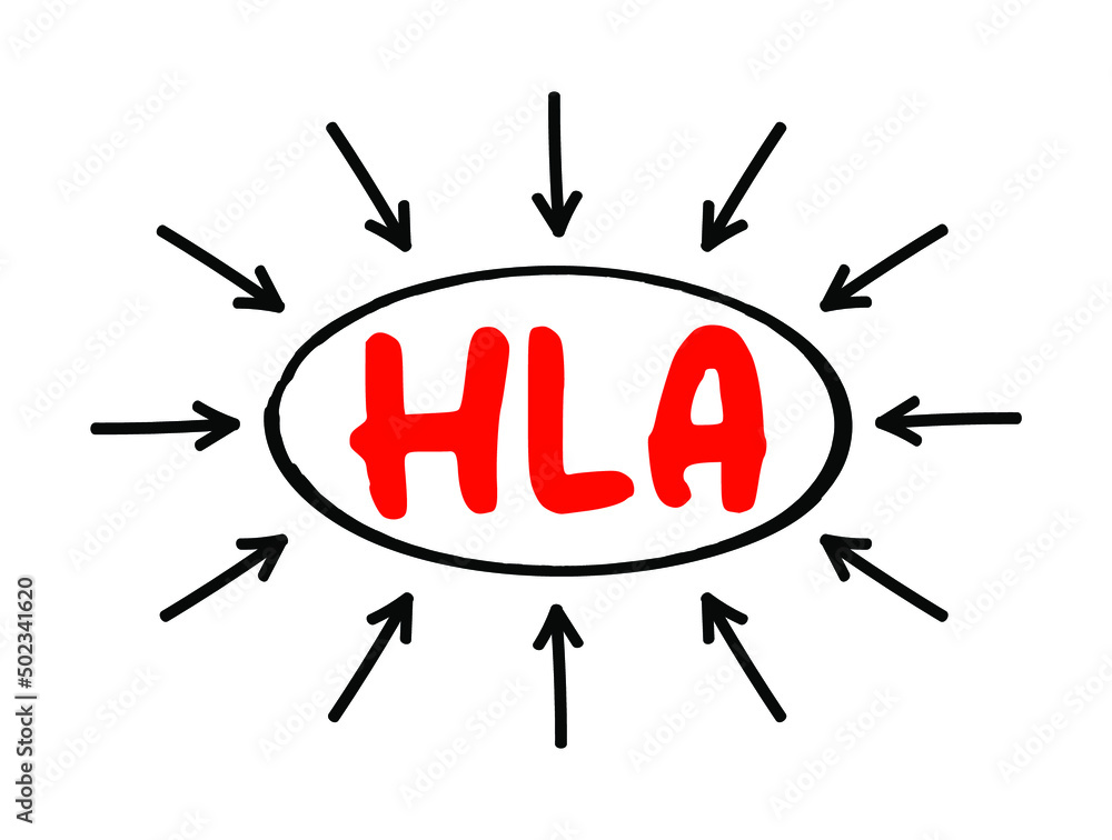 HLA Human Leukocyte Antigen - complex of genes on chromosome 6 in humans which encode cell-surface proteins, acronym text with arrows HLA Human Leukocyte Antigen - complex of genes on chromosome 6 in humans which encode cell-surface proteins, acronym text with arrows
