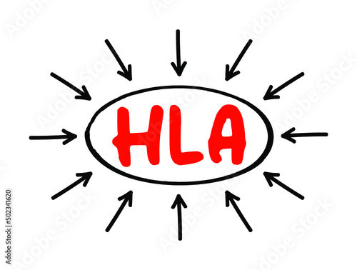 HLA Human Leukocyte Antigen - complex of genes on chromosome 6 in humans which encode cell-surface proteins  acronym text with arrows