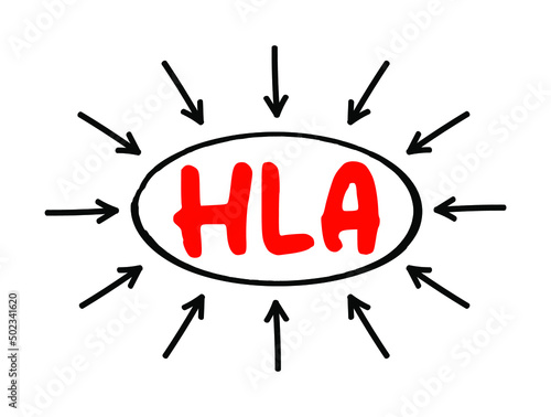 HLA Human Leukocyte Antigen - complex of genes on chromosome 6 in humans which encode cell-surface proteins, acronym text with arrows