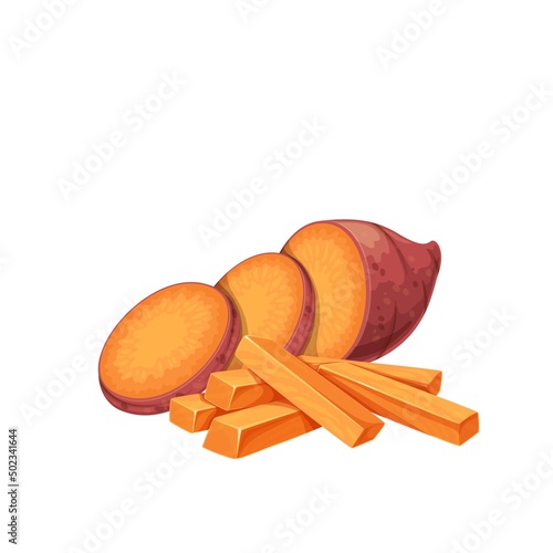 Sweet potato. Cut sticks and circles batat or yam. Vector illustration of vegetable sweet potatoes.