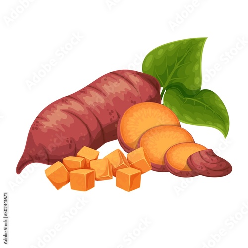 Sweet potato. Whole batat or yam and cut sticks and circles. Vector illustration of vegetable sweet potatoes.