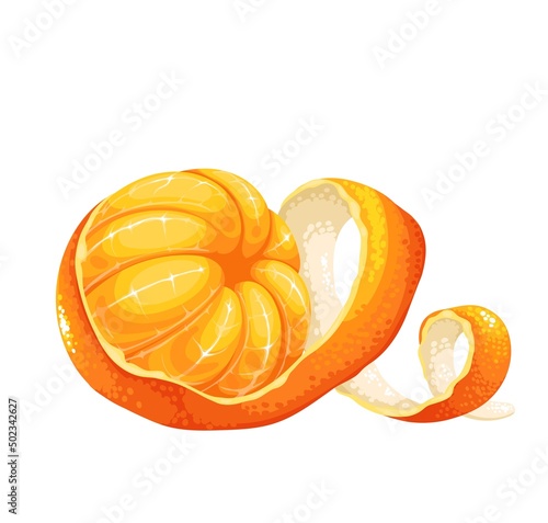 Peeled tangerine or mandarin fruit with twist skin vector illustration.