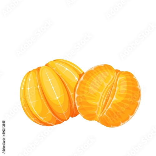 Peeled whole tangerine and half mandarin vector illustration.
