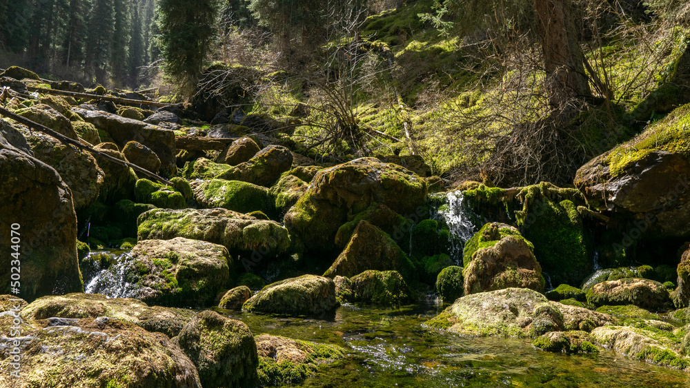 The river runs through the rocks in the forest The river runs through the rocks in the forest