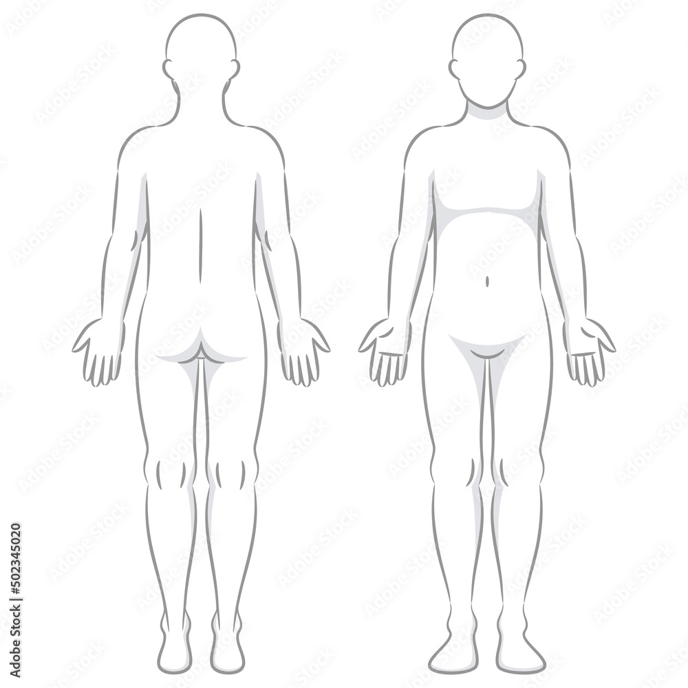 グレーの線で描かれた人体のイラスト/男性 グレーの線で描かれた人体のイラスト/男性
