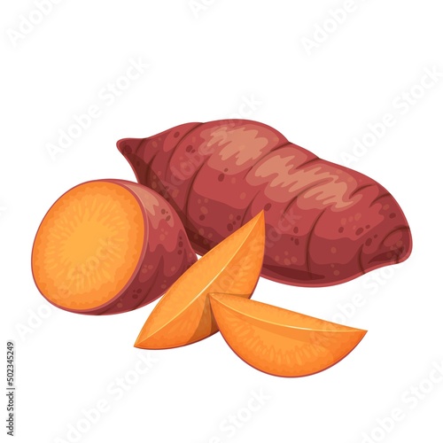 Sweet potato. Batat cut circles, sliced to sticks. Yam sliced to cubes. Vector illustration of vegetable sweet potatoes.