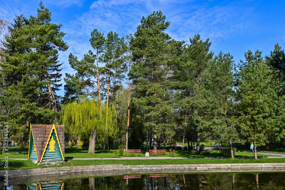 city ​​park with a lake. colorful park.