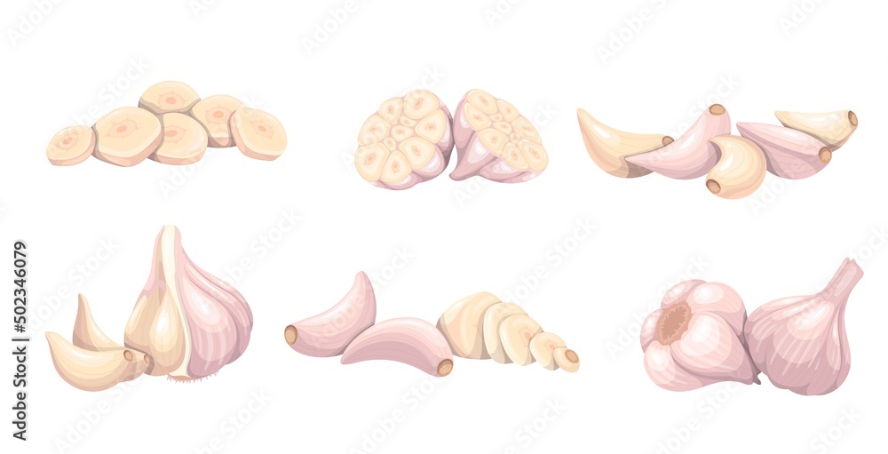 Garlic set, vegetable vector illustration. Whole heads, heaps whole and sliced garlic cloves. Common seasoning worldwide, spice and food flavoring. Garlic set, vegetable vector illustration. Whole heads, heaps whole and sliced garlic cloves. Common seasoning worldwide, spice and food flavoring.
