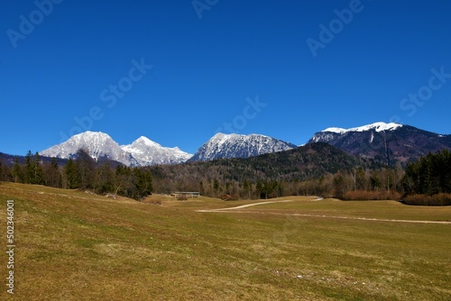 View of snow covered peak of Kocna and Grintovec in Kamnik-Savinja alps and forest covered hills and field in front