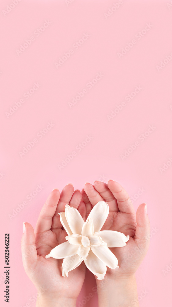 Female hands with beautiful natural manicure with white dried flower on pink background with copy space Female hands with beautiful natural manicure with white dried flower on pink background with copy space
