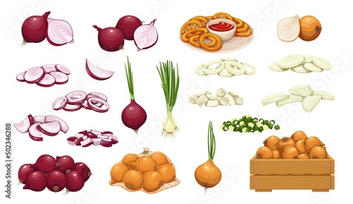 Onion icon set. Pile of onion bulbs, packed in net bag, in wooden crate, bunch of fresh green onions and rings. Vector illustration of harvest vegetables, farm product