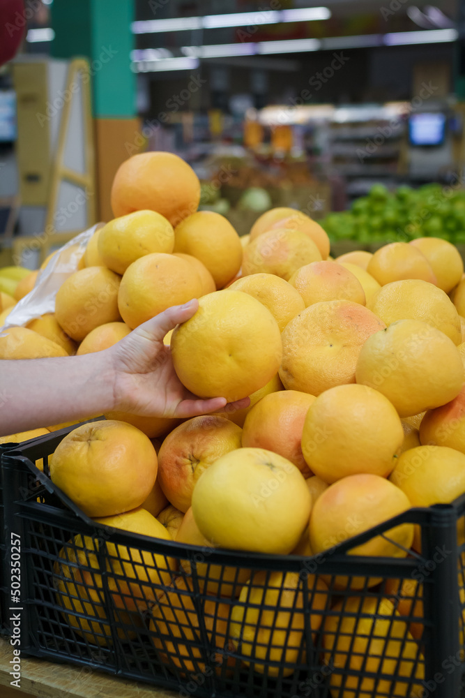Customers hand holding an orange in grocery store, choosing exotic citrus fruits in supermarket.