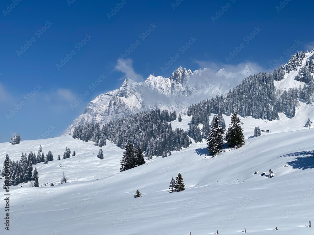 Fairytale alpine winter atmosphere the peaks of the Alpstein mountain range and in the Appenzell massif, Nesslau (Obertoggenburg region) - Canton of St. Gallen, Switzerland (Schweiz)