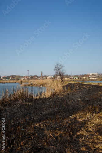 lake landscape with burnt reeds and grass around, natural fire, environmental protection, global earth problem, drought and climate change
