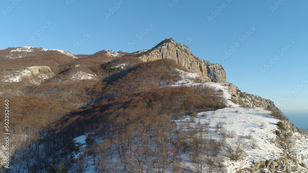 Aerial view of sunny Alp mountains in winter covered by snow and bald trees on blue sky background. Shot. Flying over steep cliffs on a sunny day.