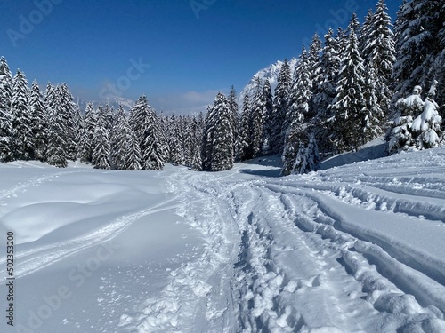 Wonderful winter hiking trails and traces on the slopes of the Alpstein mountain range and in the fresh alpine snow cover of the Swiss Alps, Nesslau - Obertoggenburg, Switzerland (Schweiz) © Mario