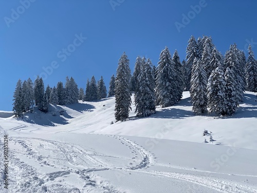 Wonderful winter hiking trails and traces on the slopes of the Alpstein mountain range and in the fresh alpine snow cover of the Swiss Alps  Nesslau - Obertoggenburg  Switzerland  Schweiz 