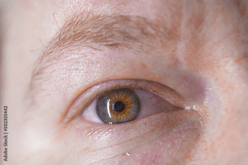 Fototapeta premium close up of eye close up