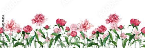 Watercolor floral background with peonies and leaves. Flower border. Illustration of field for design of banner  poster  cards  decoration of rooms.