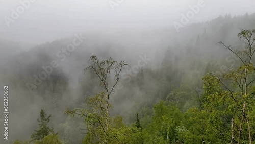 The fog drowned mystical valley of Schwarzwassertal in saxonian Ore Mountains. The mist moves through a large spruce and birch forest. Pan shot.