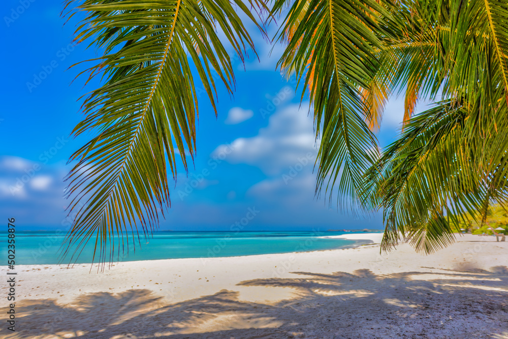 Sunny tropical island beach with palm tree leaves, shadows on white sand, sunny sky turquoise sea water. Island vacation, hot summer day landscape. Tranquil beautiful peaceful nature, beach background