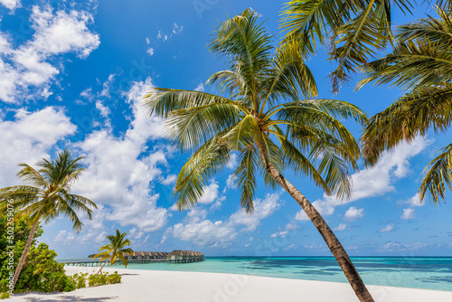 Amazing panorama landscape of Maldives beach, palm sand. Tropical beach landscape seascape, luxury water villa resort wooden jetty. Beautiful travel destination for summer holiday and vacation concept
