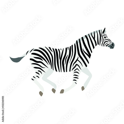 Vector hand drawn flat running zebra isolated on white background