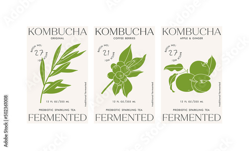 Vector set illustartion design labels for kombucha. Minimalistic and modern design.