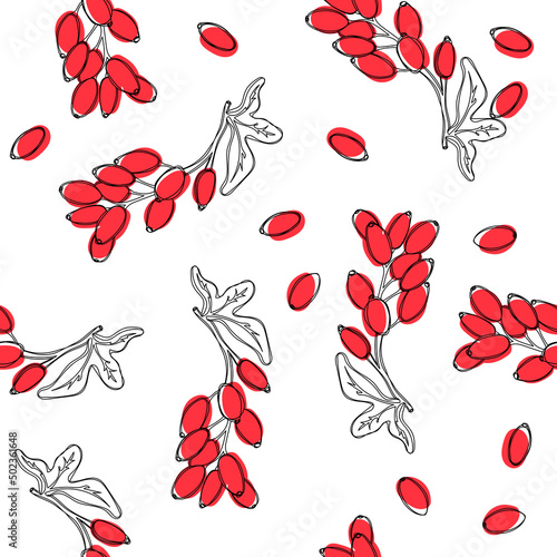 Seamless pattern with barberry plant with red berries.