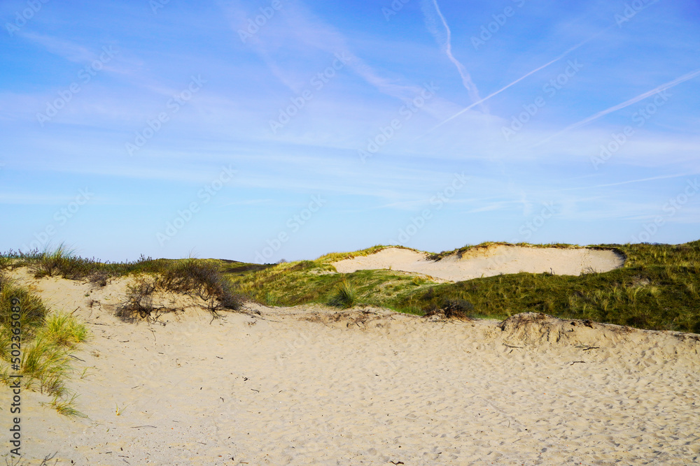 Dune landscape at the Dutch North Sea coast. Nature reserve. Netherlands.
