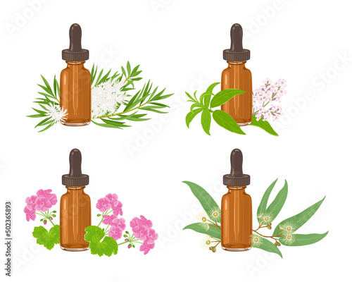 Collection of essential oil in amber glass dropper bottle isolated on white. Lemon verbena, Eucalyptus, Geranium and tea tree. Vector illustration of aromatic oil and plants in cartoon flat style.