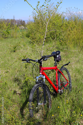 Vélo tout terrain appuyé sur un buisson