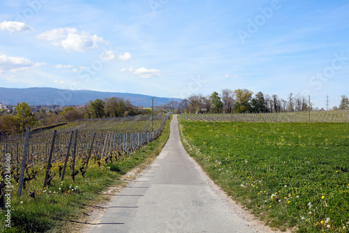 Route de campagne au printemps à Etoy en Suisse © Marc