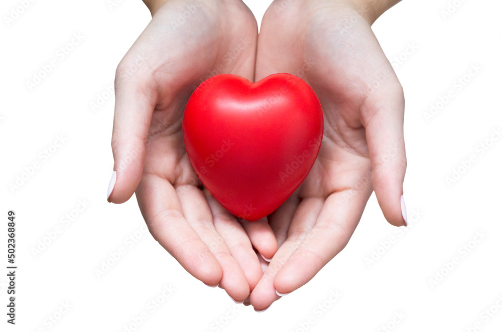 hands holding red heart, heart health insurance, organ donation, happy volunteer charity, CSR social responsibility,world heart day, world health day,world mental health day,foster home concept