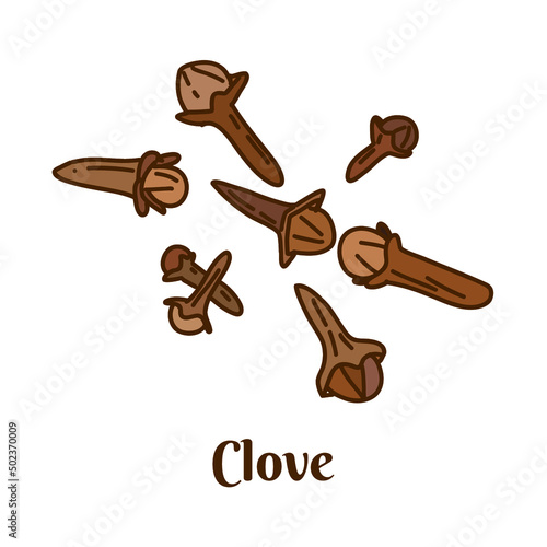 Hand drawn vector illustration of clove isolated on white background.