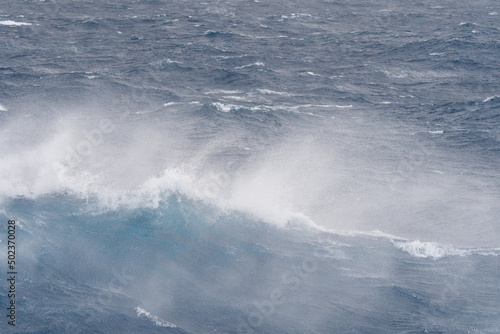 Fototapeta Naklejka Na Ścianę i Meble -  Breaking waves in the Drake Passage