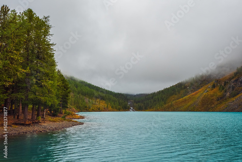 Silhouettes of fir hillside along mountain lake in dense fog. Reflection of coniferous trees in blue water. Alpine tranquil landscape at cool early morning. Ghostly atmospheric scenery.