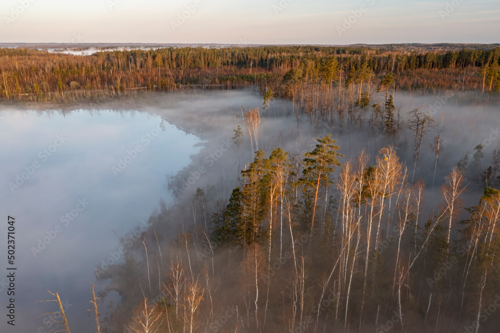 Swampy area in Lithuania at spring Swampy area in Lithuania at spring