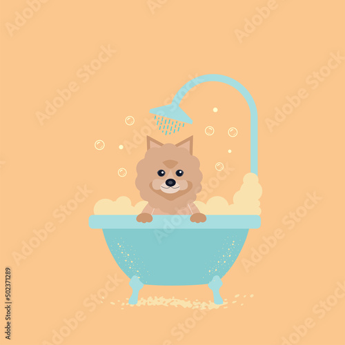 cute dog taking a bath with foam