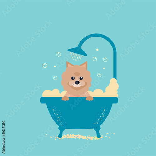 cute dog taking a bath with foam