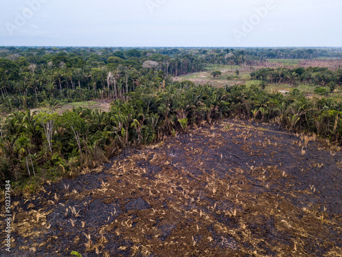 Aerial view of illegal deforestation in the amazon rainforest. Climate change. Forest trees cut and burned to open land for agriculture and livestock pasture in Amazonas, Brazil.