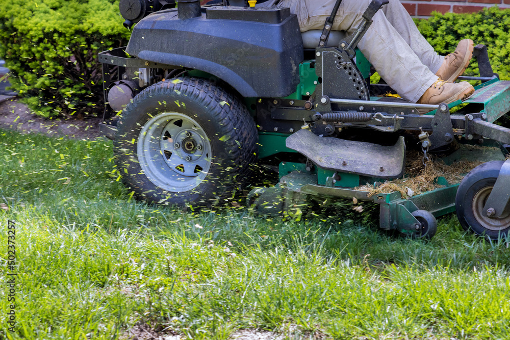 Obraz premium Lawn mower cutting in the grass on sunny spring day with evergreen landscaped garden