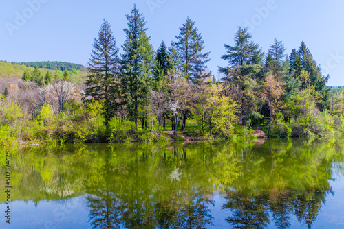 lake in the park with reflections