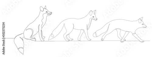 foxes drawing in one continuous line, isolated, vector